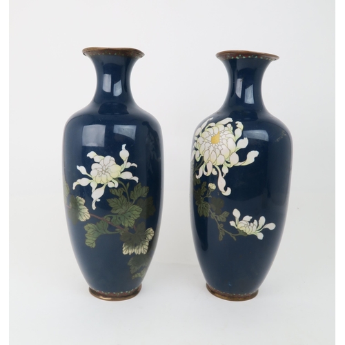 2367 - A PAIR OF JAPANESE CLOISONNE VASESDecorated with white peonies and foliage, 37cm high... 