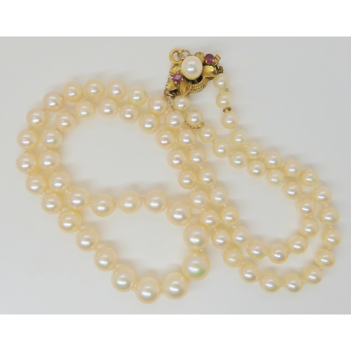 2769 - PEARLS WITH A 14K RUBY AND PEARL CLASPthe light cream coloured pearls with a good lustre, are tapere... 