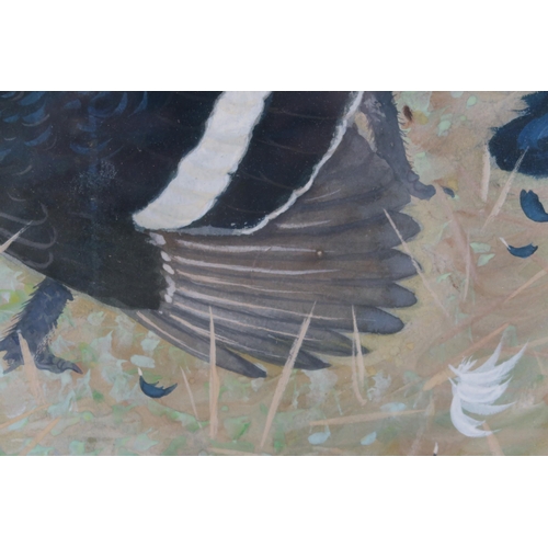 2913 - RALSTON GUDGEON RSA RSW (SCOTTISH 1910-1984) TWO BLACK GROUSE Watercolour, signed lower right, 50 x ... 