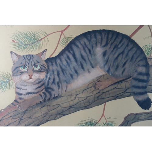 2963 - RALSTON GUDGEON RSA RSW (SCOTTISH 1910-1984) A WILD CAT RESTING Watercolour, signed lower right, 49 ... 