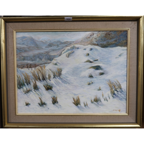 1034 - SIGNED 'LALLY' SNOWY LANDSCAPE Oil on canvas, signed lower right, dated, 45 x 59cm ... 