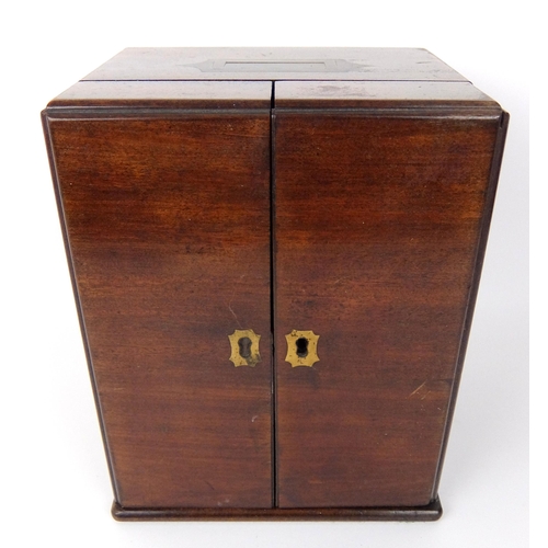 295 - A 19th Century mahogany medicine cabinet