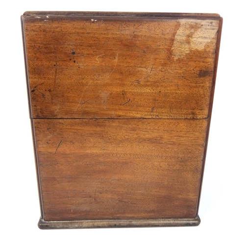 295 - A 19th Century mahogany medicine cabinet