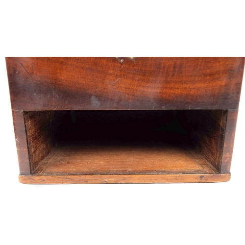 298 - A 19th Century mahogany medicine cabinet