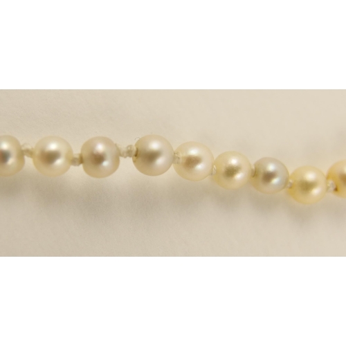 137A - A string of pearls