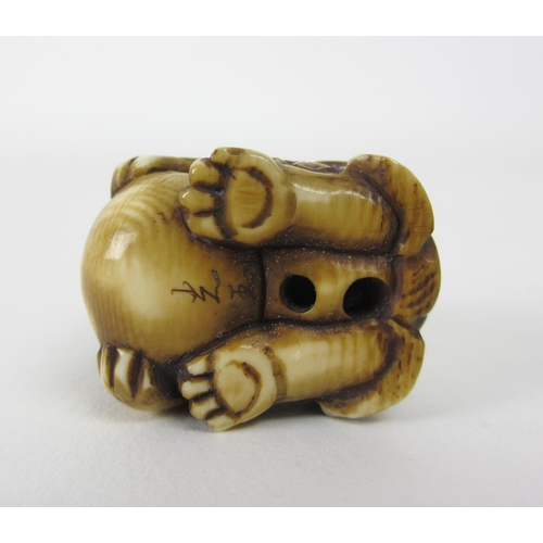 534 - A Japanese ivory netsuke of a dog of fo