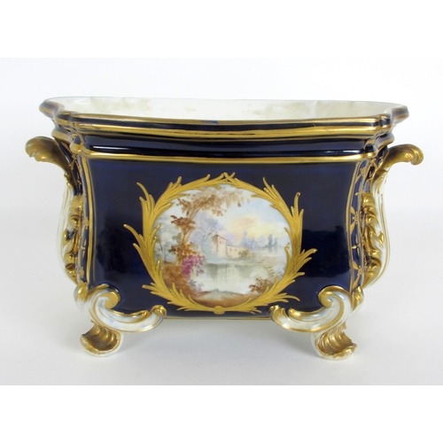 671B - A Sevres style bough pot