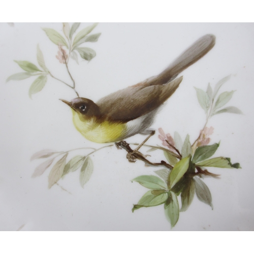 672A - Three Meissen oval ornithological dishes