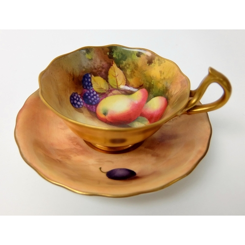 675 - A group of Fruit Worcester porcelain