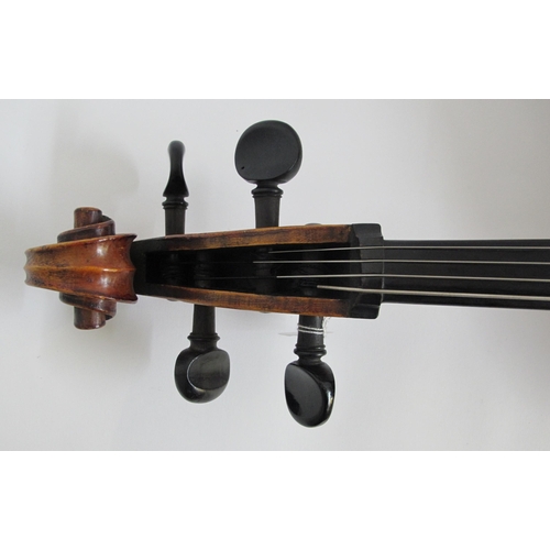 310 - A cello