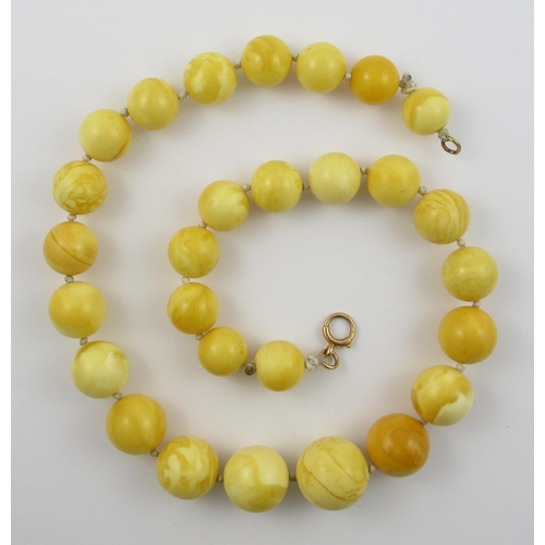 65 - Egg yolk amber necklace