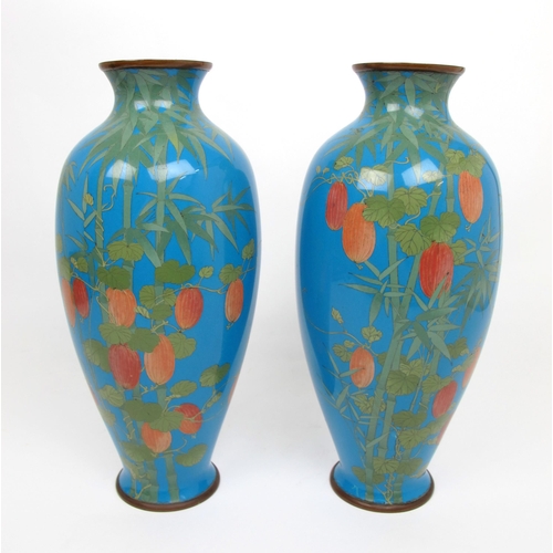 561 - A pair of Japanese cloisonne baluster vases