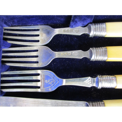 230 - A cased Edwardian silver and bone handled 24 piece fish cutlery set