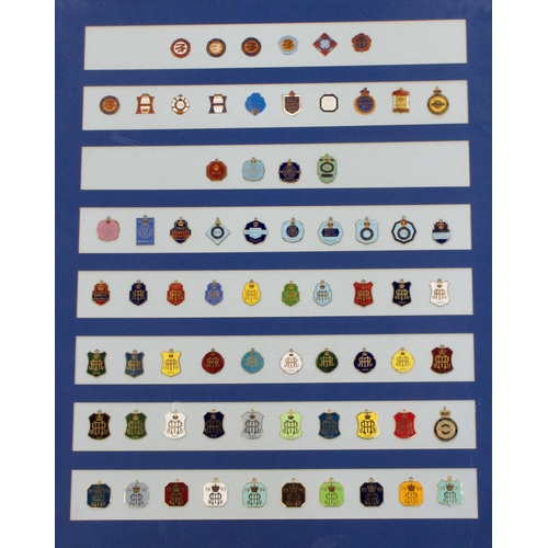 290 - Henley Royal Regatta Stewards Enclosure Badges