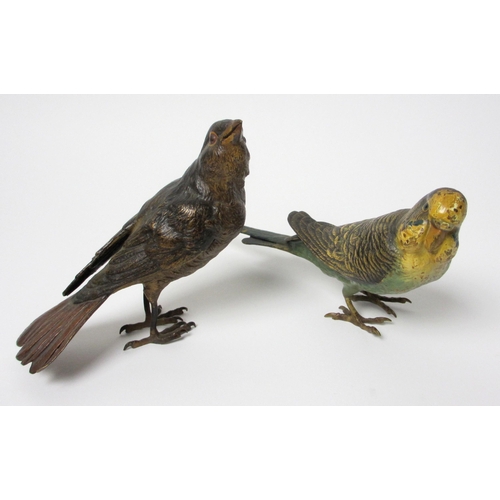 487 - A cold painted bronze model of a budgerigar