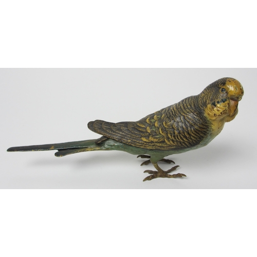 487 - A cold painted bronze model of a budgerigar