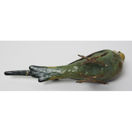 487 - A cold painted bronze model of a budgerigar