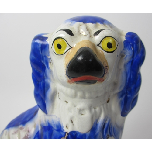 504 - An Alloa Pottery model of a Spaniel