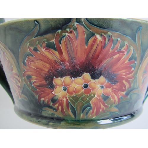 540 - A Macintyre Moorcroft Cornflower / Brown Chrysanthemum two handled vase