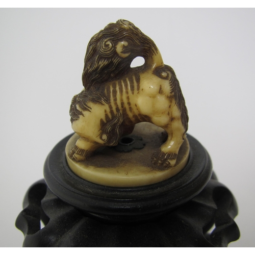 656 - A Japanese carved ivory shishi snarling on all fours