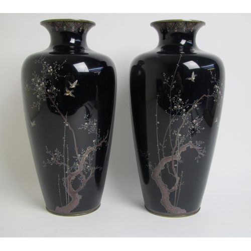 679 - A pair of Japanese cloisonne baluster vases