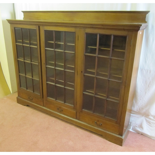 751 - An Edwardian mahogany bookcase