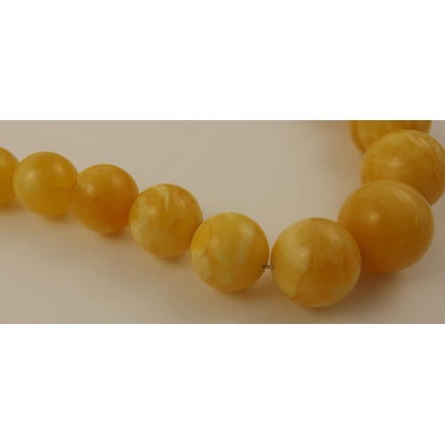 103 - Item 8. A large royal amber coloured necklace