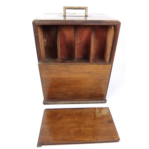 295 - A 19th Century mahogany medicine cabinet