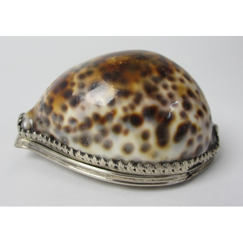 209 - A cowrie shell snuff mull