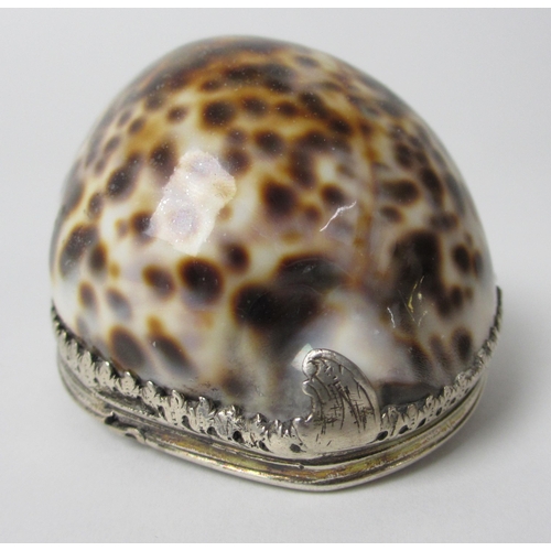 209 - A cowrie shell snuff mull