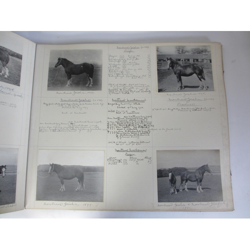 260 - MONTRAVE CLYDESDALE STUD BOOKS