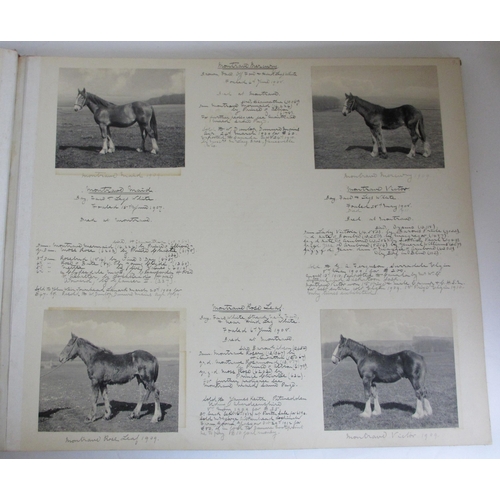 260 - MONTRAVE CLYDESDALE STUD BOOKS