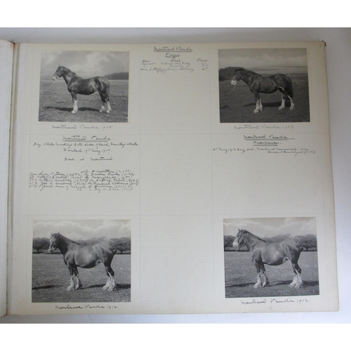 260 - MONTRAVE CLYDESDALE STUD BOOKS