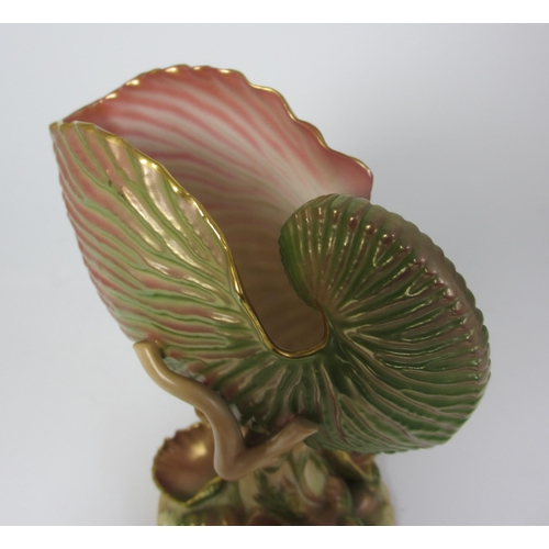 725 - A Royal Worcester porcelain nautilus shell