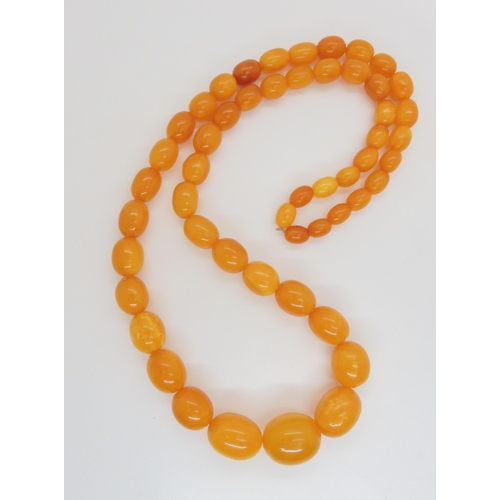 752 - A string of amber coloured beads, light crazing and concoidial fractures throughout, largest bead 2c... 