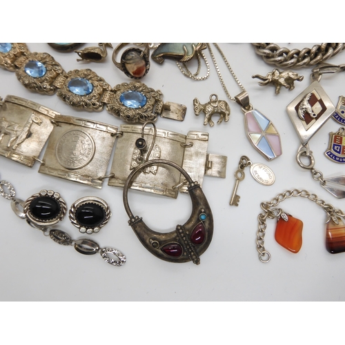 576 - Two Norman Grant items, a titanium dragonfly pendant, and a enamelled performing seal brooch both st... 