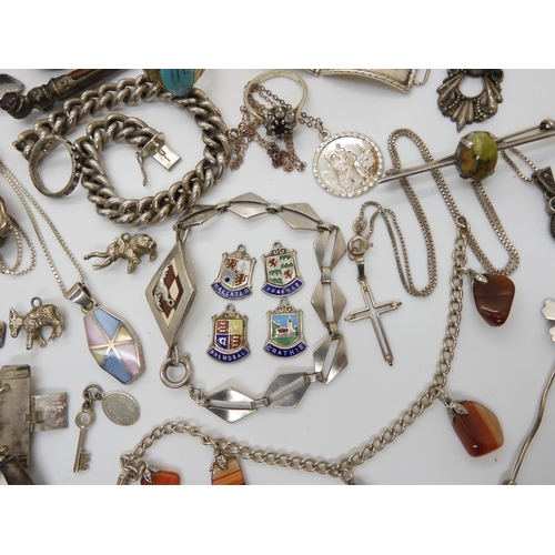 576 - Two Norman Grant items, a titanium dragonfly pendant, and a enamelled performing seal brooch both st... 