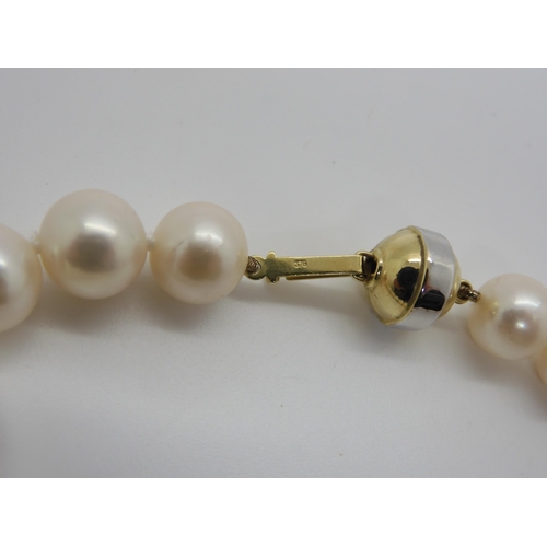 601 - A string of cultured pearls with a bi colour 9ct gold clasp, each pearl approx 10mm, a silver lucken... 