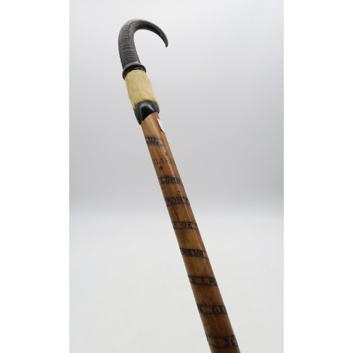 378 - An Alpine hiking pole/staff with handle constructed from the horn and foot of the chamois goat, the ... 