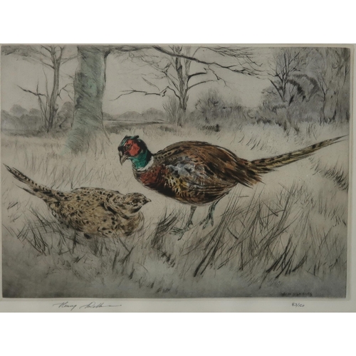 633 - HENRY WILKINSON (BRITISH 1912-2011)PHEASANTSEtching in colours, signed lower left, 83/50, 25 x 34cmT... 