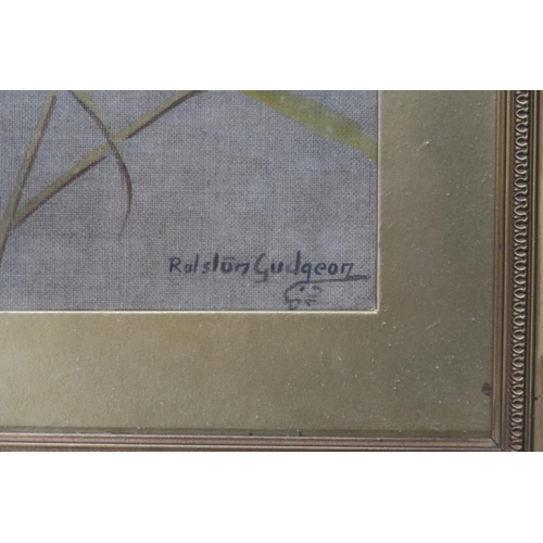 635 - RALSTON GUDGEON (SCOTTISH 1910-1984)GOLDFINCHGouache, signed lower left, 28 x 19cm... 