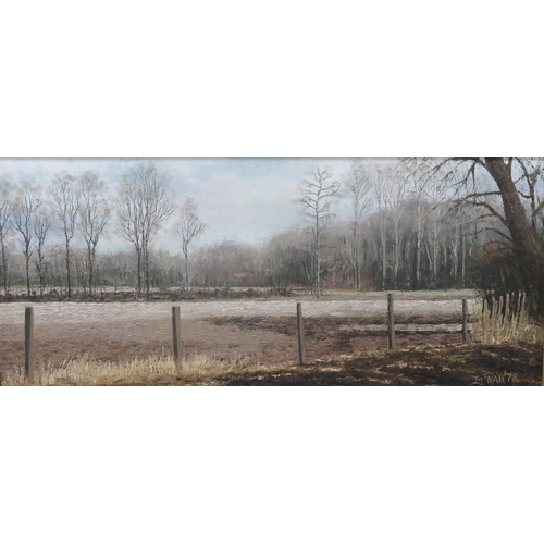 686 - IAN MCNABLANDSCAPEOil on board, signed lower right, dated (19)78, 28 x 67cmTogether with two other b... 