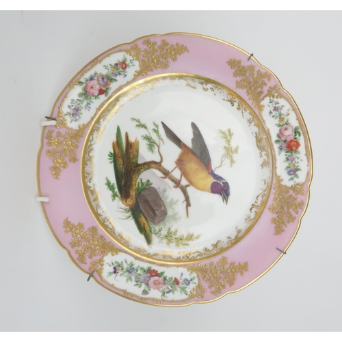 2179 - THREE PARIS PORCELAIN ORNITHOLOGICAL PAINTED CABINET PLATESfrom the Feuillet workshop, each painted ... 
