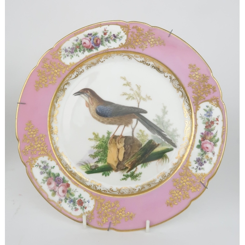 2179 - THREE PARIS PORCELAIN ORNITHOLOGICAL PAINTED CABINET PLATESfrom the Feuillet workshop, each painted ... 