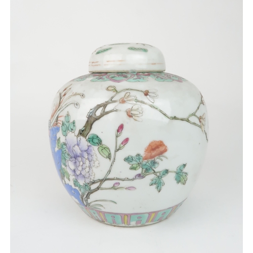 2356 - A CHINESE FAMILLE ROSE GINGER JAR AND COVER painted with birds amongst foliage within formal bands, ... 
