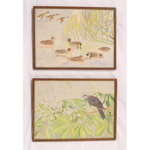 2399 - FIVE CHINESE PAINTINGS ON SILK 39 x 28cm,  a watercolour of a falcon amongst blossom, 27 x 37cm and ... 