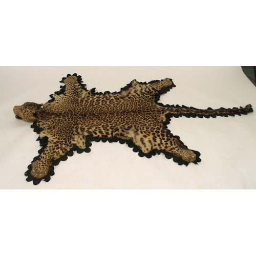 2006 - A 20TH CENTURY TAXIDERMY LEOPARD PELT RUGon green felt trimmed backing with snarling open-mouthed he... 