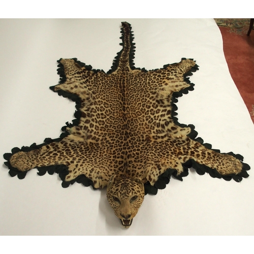 2006 - A 20TH CENTURY TAXIDERMY LEOPARD PELT RUGon green felt trimmed backing with snarling open-mouthed he... 