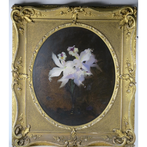 2924 - JAMES STUART PARK (SCOTTISH 1862-1933)ORCHID LILIES Oil on canvas, signed lower right, 60 x 50cm (23... 