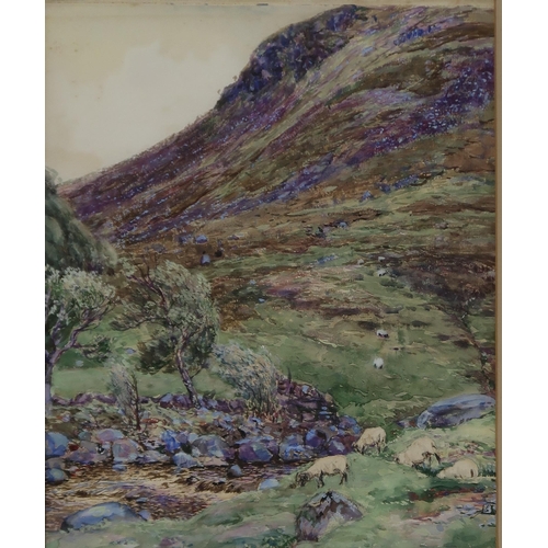 1003 - JOHN HAMILTON GLASS Sheep grazing, signed, oil on board, 44 x 29cm and two others (3)... 